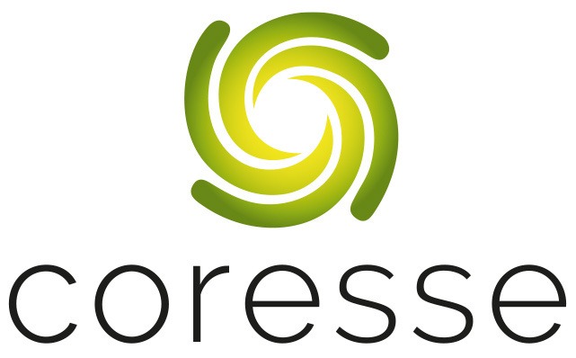 A  massage therapy session (90 min)  in Arnhem or Doetinchem.